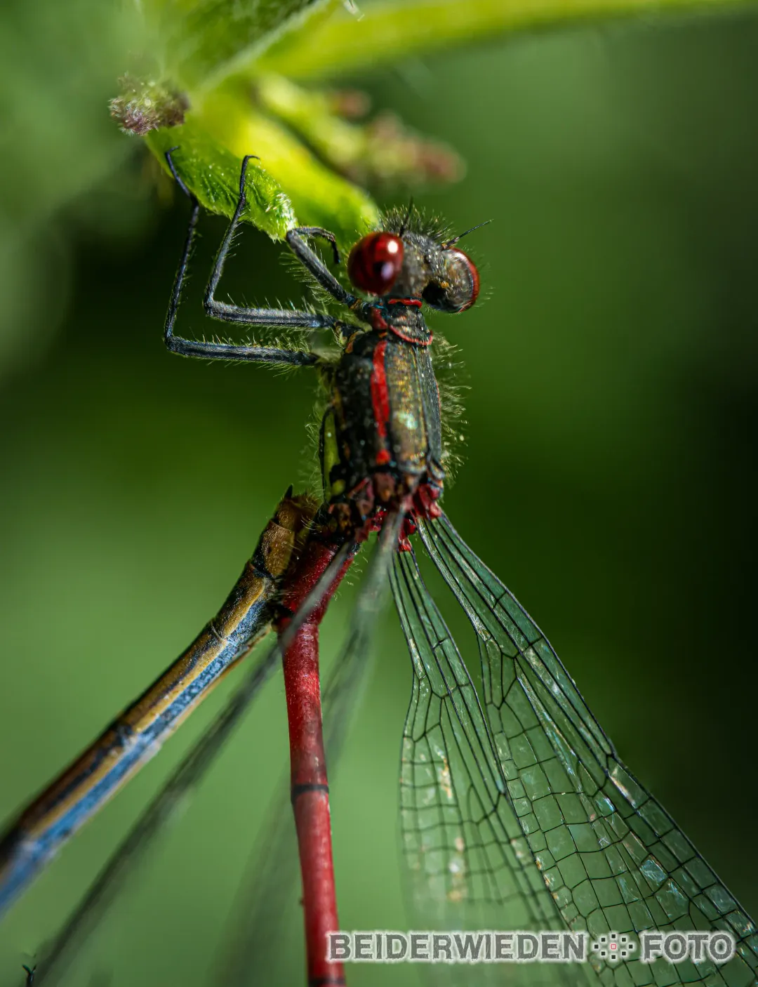 Featured photography