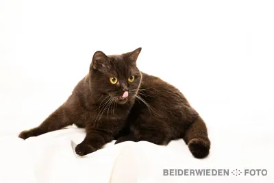 Blick hinter die Kulissen