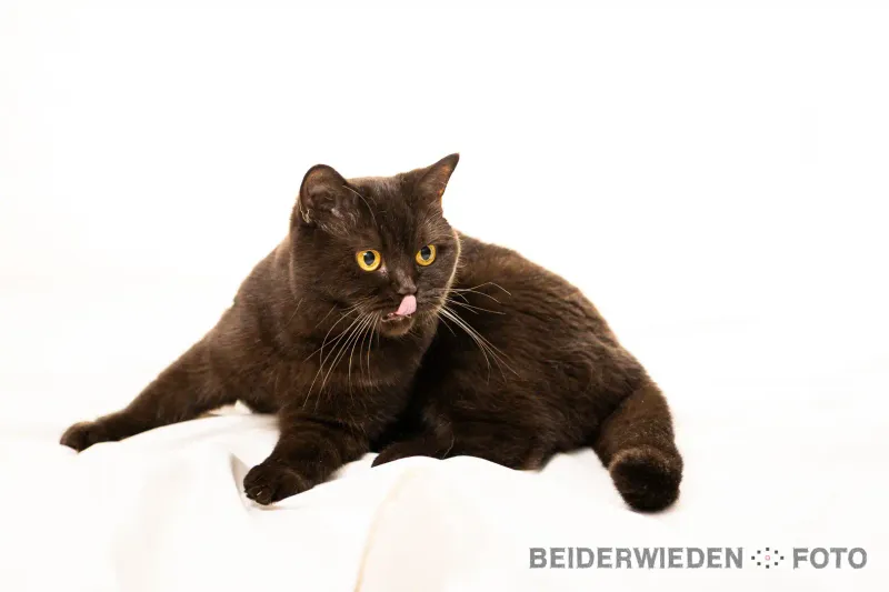 Blick hinter die Kulissen