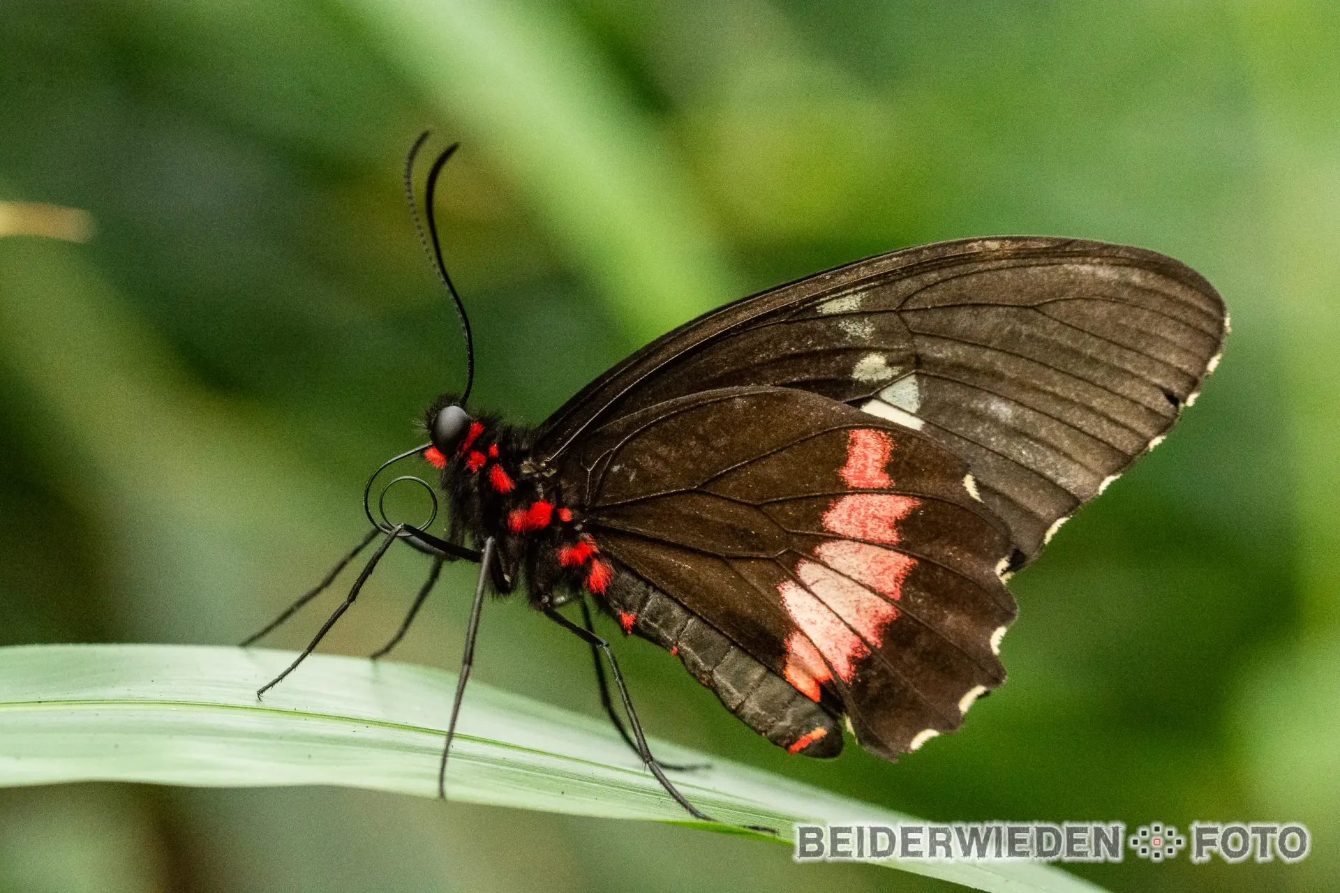 Featured photography