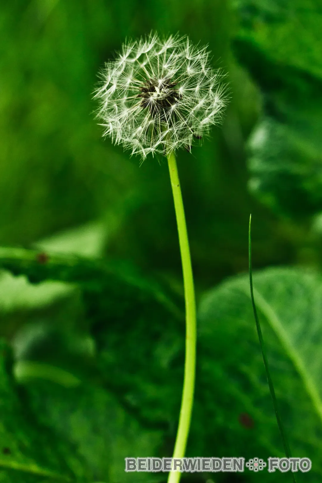 Featured photography