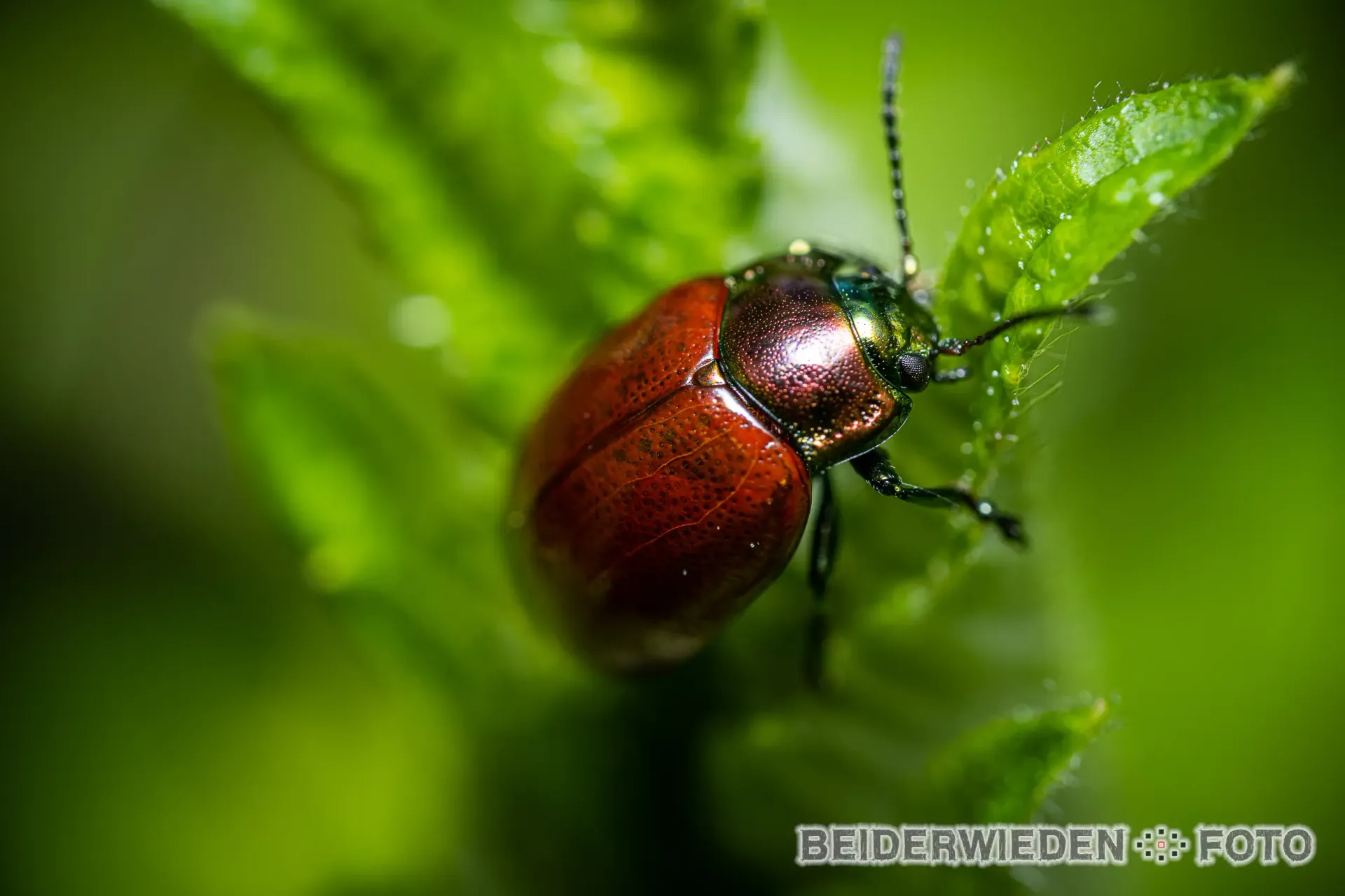 Featured photography