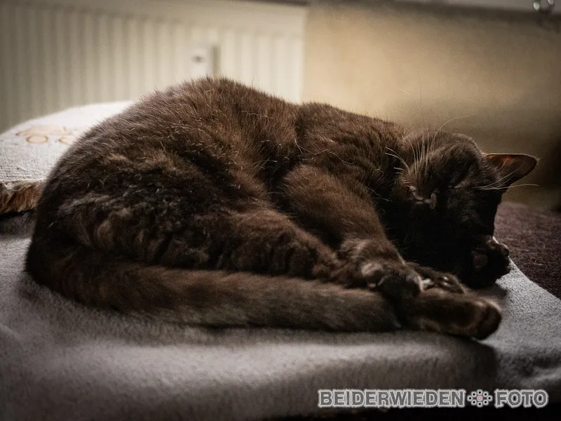 Letzes mal auf dem Feld