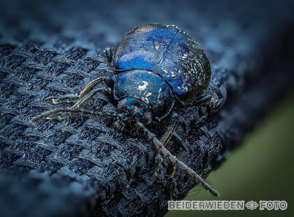 Stack_002_A-Bearbeitet