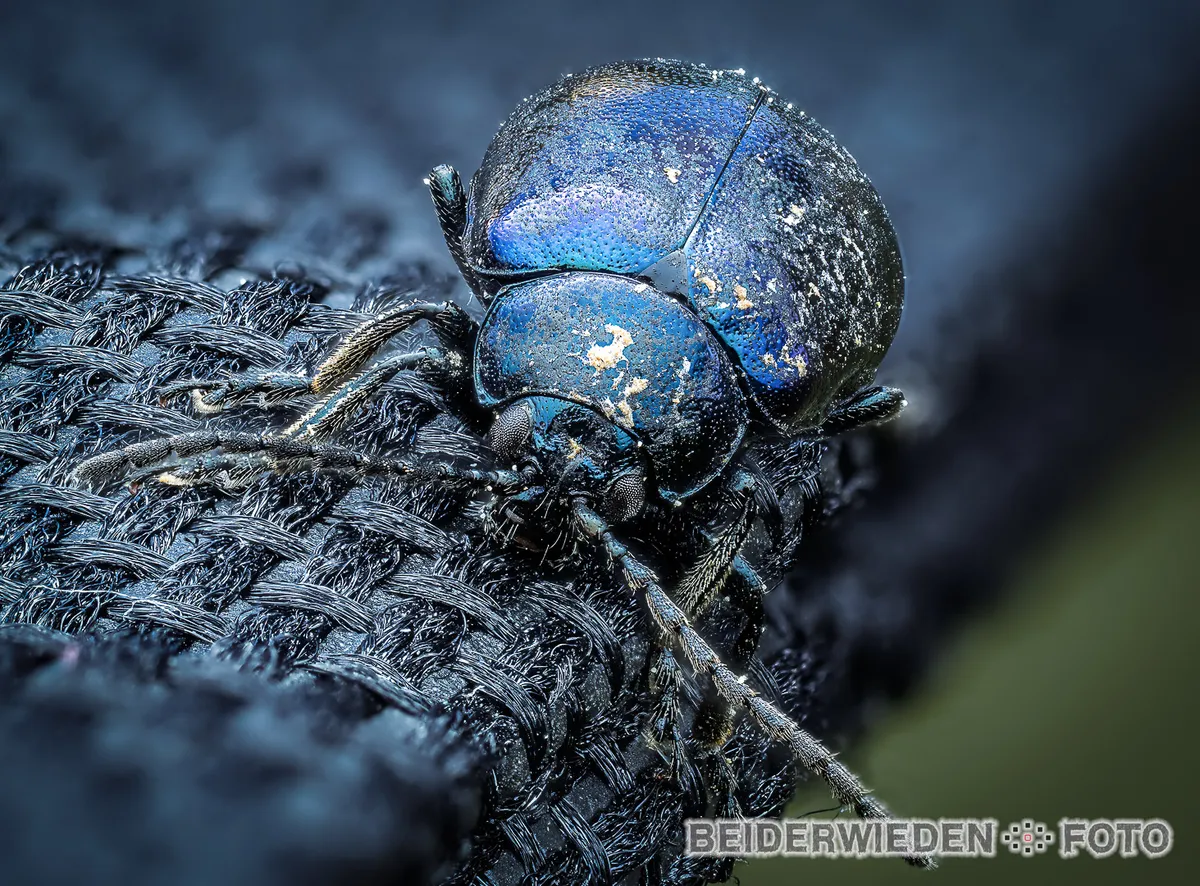 Stack_003_A-Bearbeitet