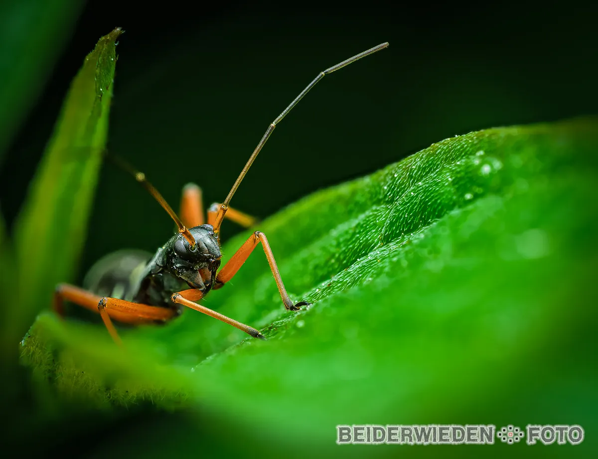 Stack_020_A-Bearbeitet
