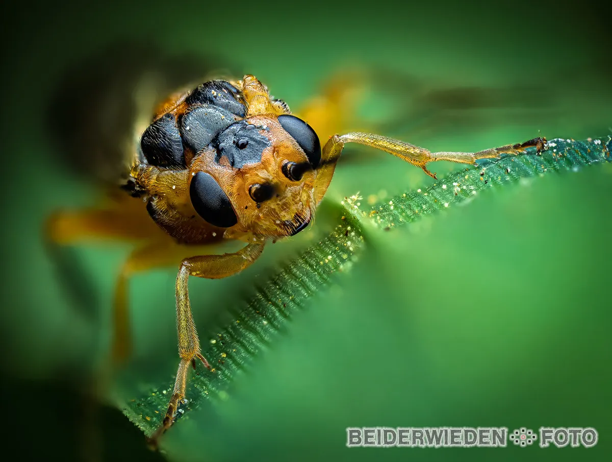 Stack_032_A-Bearbeitet