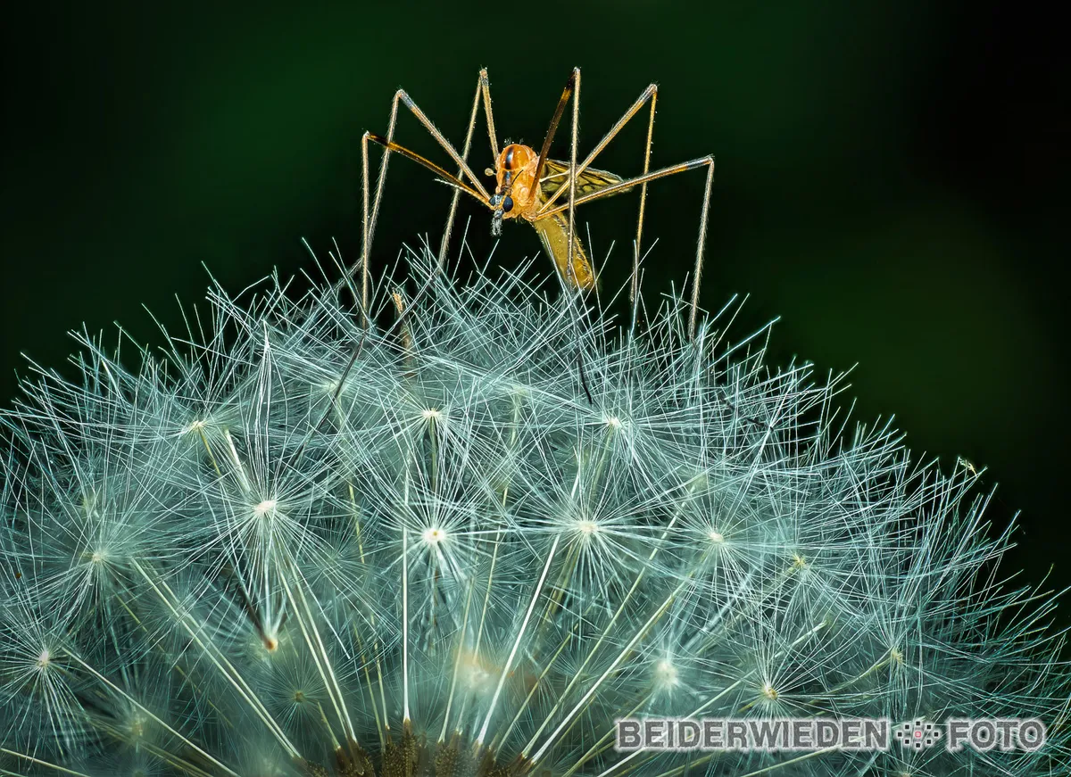 Stack_033_A-Bearbeitet