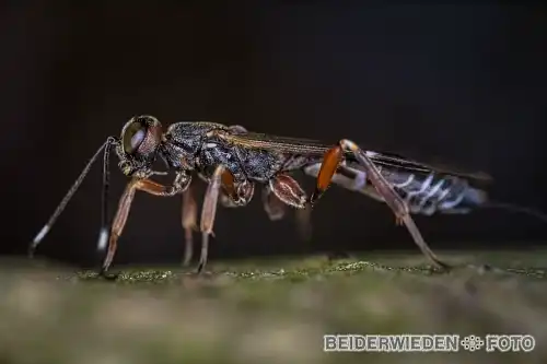 14022023-214711-macro